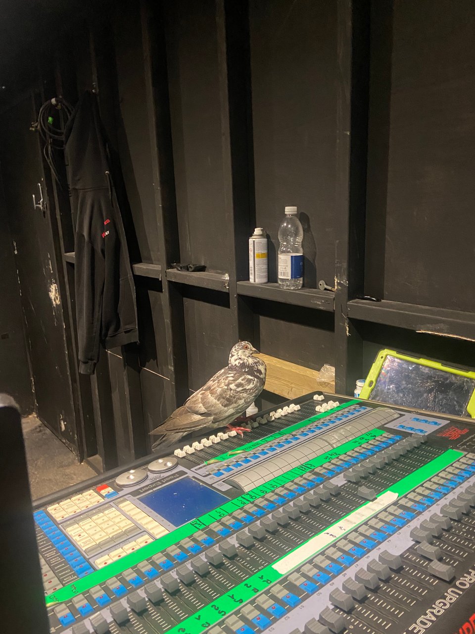 a pigeon sitting on a mixing board