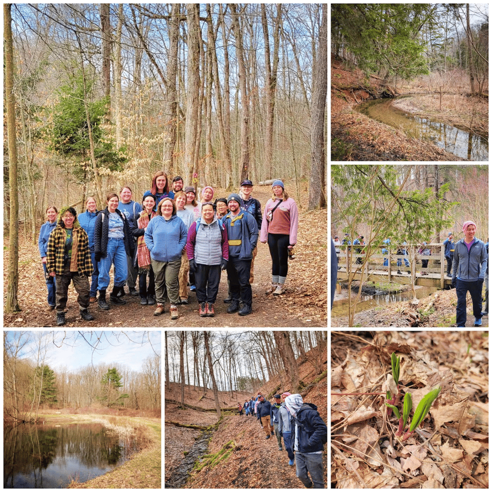 Some photos from our last hike at Baltimore Woods nature center.