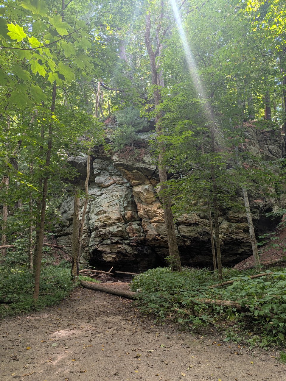 #104 / A Walk in the Woods