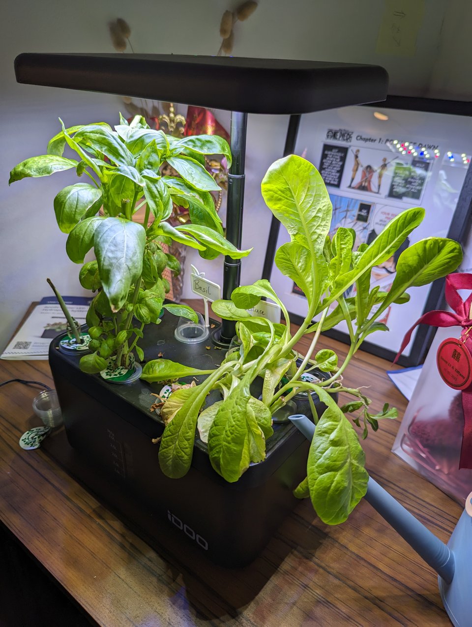 225 - life update ⚫🥬