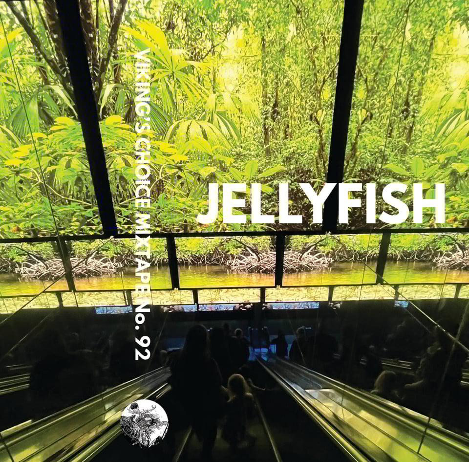 A cassette j-card laid out with my photo from an escalator at the National Aquarium in Baltimore. A aquatic, but very green scene. Mixtape titled: jellyfish.