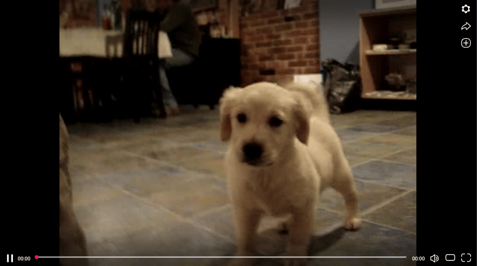 [Screenshot of a video in the Vbox7 player.]