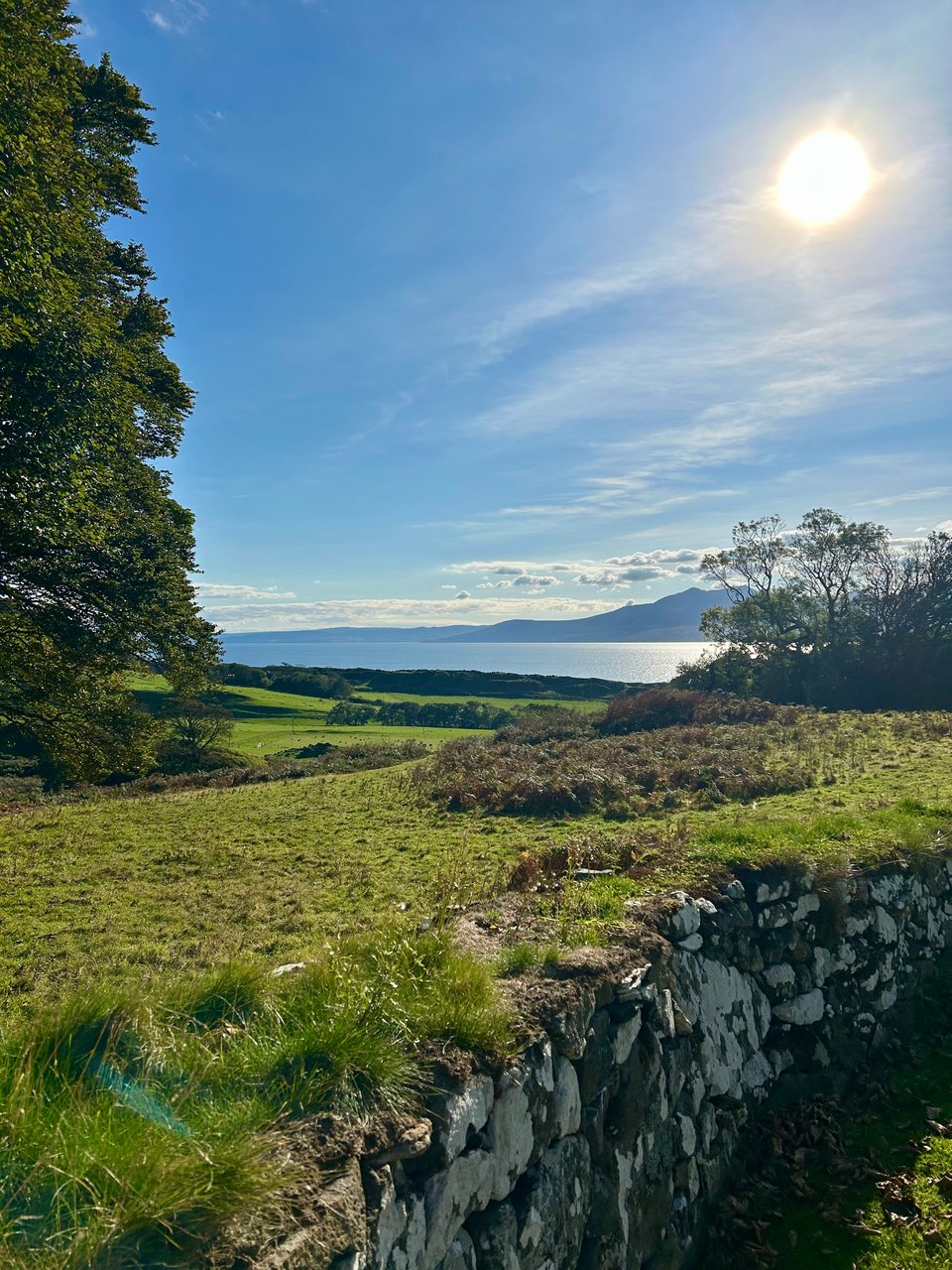 The Isle of Arran with its craggy mountains is in the distance. In the foreground is a turf topped wall, with green fields surrounding it and a huge tree on the left side of the image. Photo by Rowan Ambrose.
