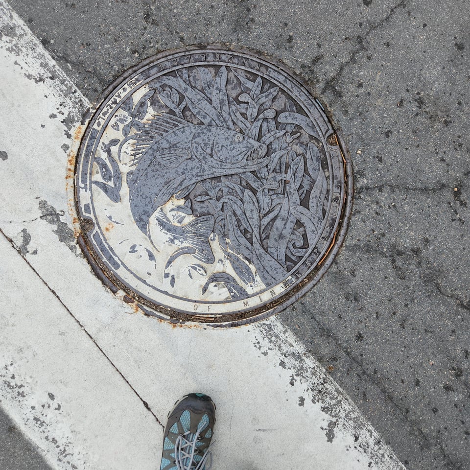 Top-down view of a manhole cover in downtown Minneapolis. The cover shows a fish and other aquatic wildlife. The manhole cover also has a white streak from when the street was painted. One person's shoe is visible.