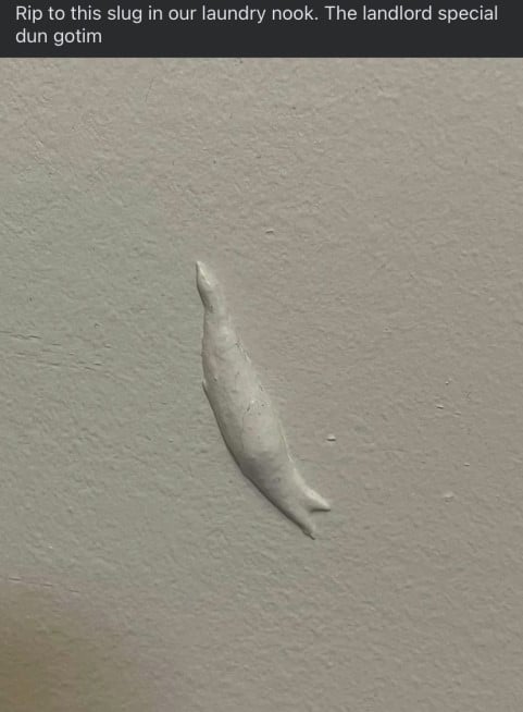 A photo of a slug that has been painted over white on a white wall. The text above reads: "Rip to this slug in our laundry nook. The landlord special dun gotim
