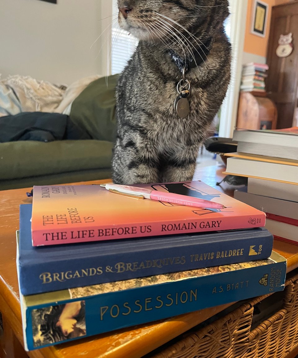A stack of books on a coffee table, with a gray tabby cat behind them and a couch in the backdrop.