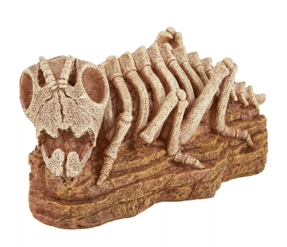 A terrarium decoration, it's a grasshopper