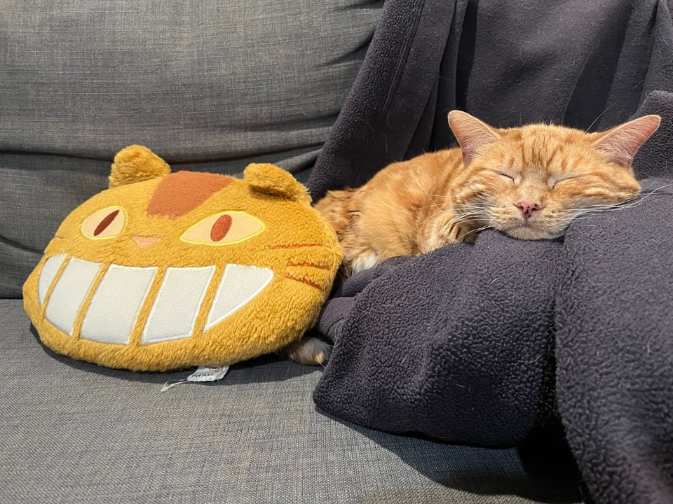 An orange cat nestled against a cozy blanket