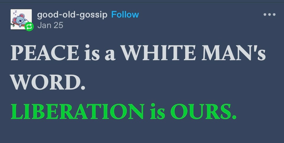 A screenshot from tumblr that says, "Peace is a white man's word. Liberation is ours".