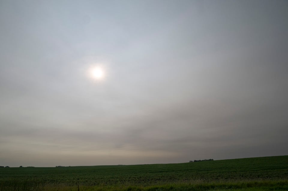A green field under a hazy, smoky sky.