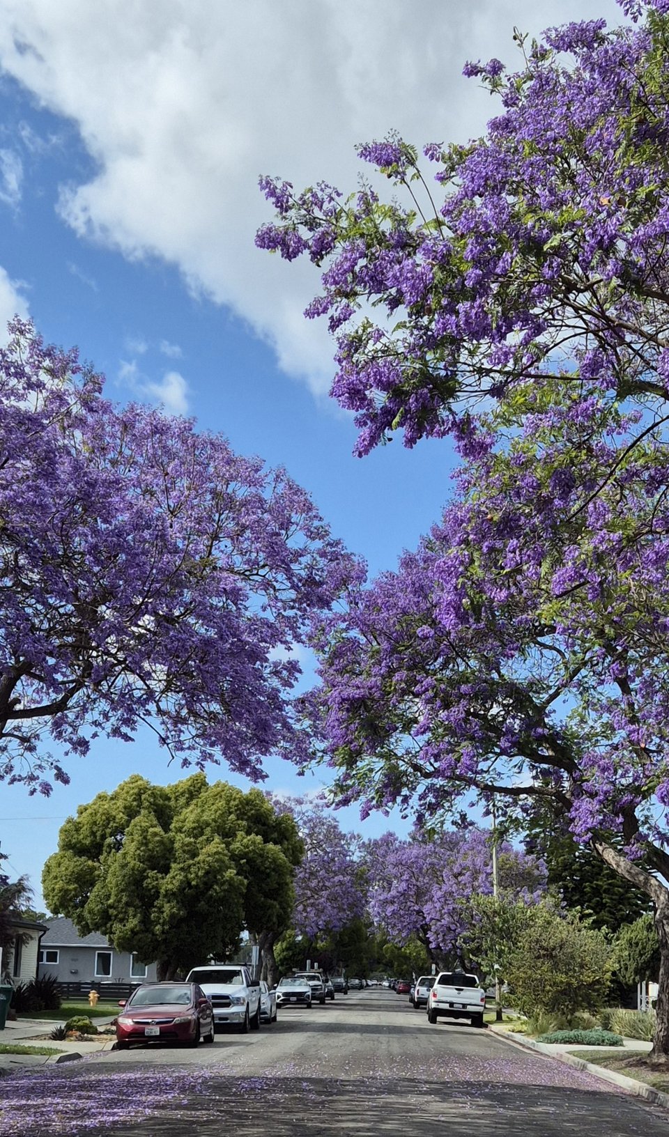 Book & Paper Arts Calendar Updates - May 2026