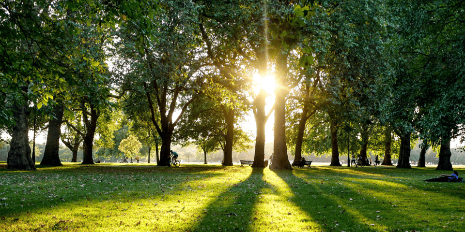 Hyde park in all its beautiful greenery. The sun peeks out through the trees.