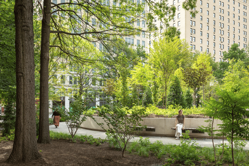 A park in the middle of a city. It has very old and dense trees, making it look slightly more like a forest than a regular park. In the middle, a woman in white pants sit on a bench and in the background far away we can see skyscrapers rising behind the park