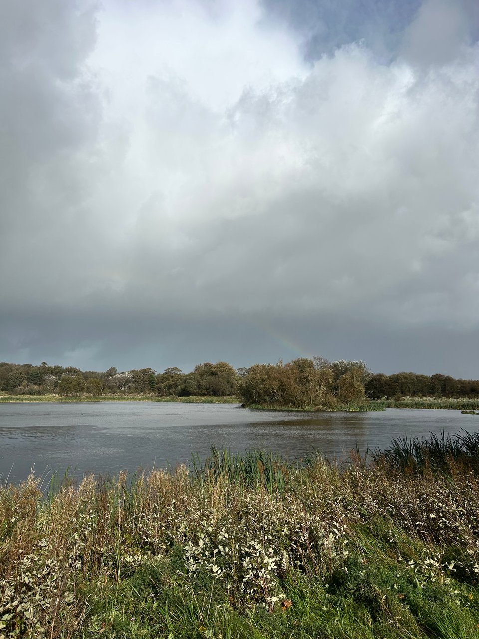 A faint rainbow is arching over a flooded quarry. There are lots of deciduous trees and a stormy looking grey sky. Image by Rowan Ambrose.