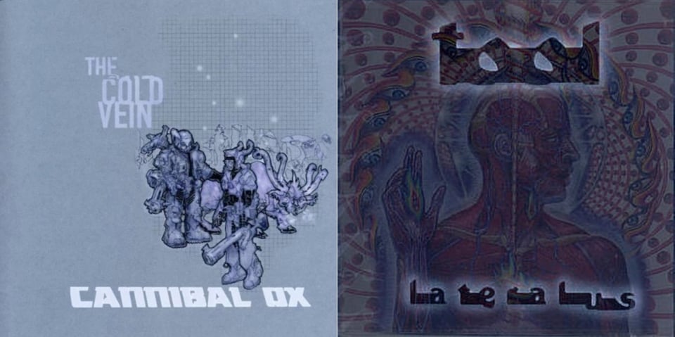 First pic: On a grey-blue background are grey, blue and purpple drawings of some SF/fantasy warrior types and a four-legged creature with tentacles coming out of its head. I would call the art style Warhammer 40k meets anime. Second pic: A medical-style drawing of man, from the chest up, only without skin, showing his mucles and blood vessels and other hidden parts of the body. He holds his right hand up. Around him is a psychedelic swirl that is reminiscent of a peacock's feathers.
