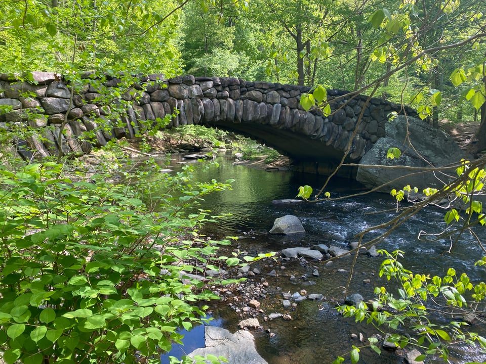 In DC's Rock Creek Park, a stone bridge arching over a creek, surrounded by lots of green vegetation