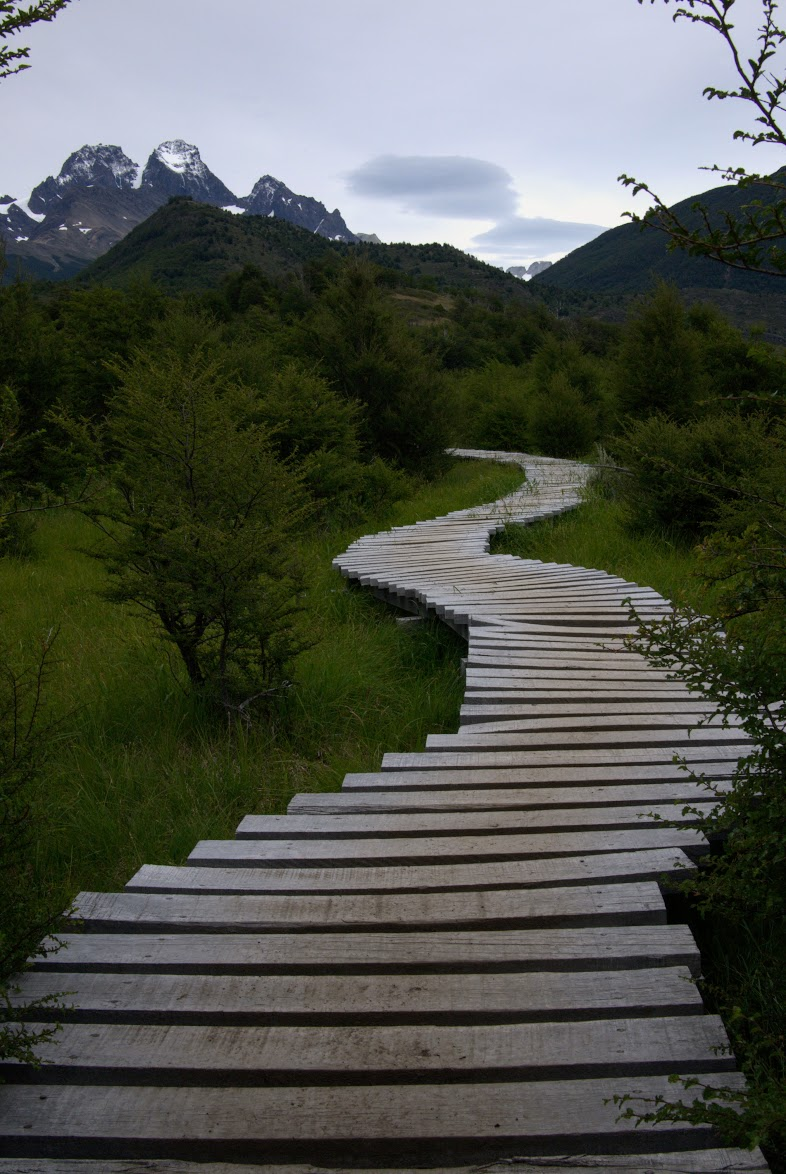 Boardwalk over wetlands