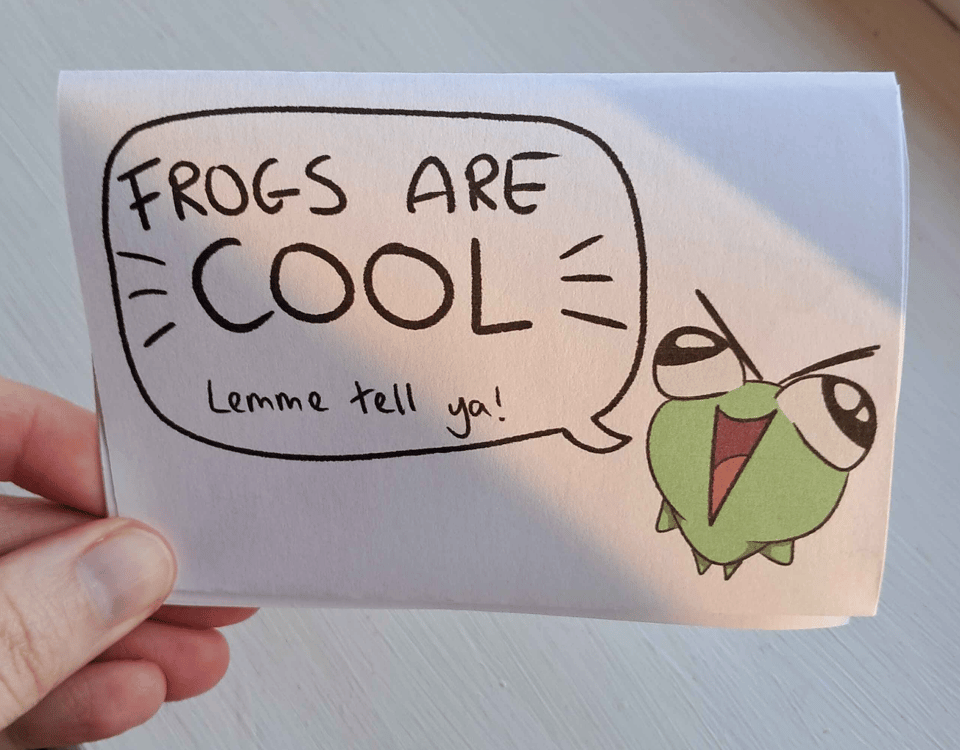 a picture of a hand holding a folded paper booklet. The front cover can be seen and it says "Frogs are COOL lemme tell ya!" in a speech bubble connecting to a drawing of an excited frog.