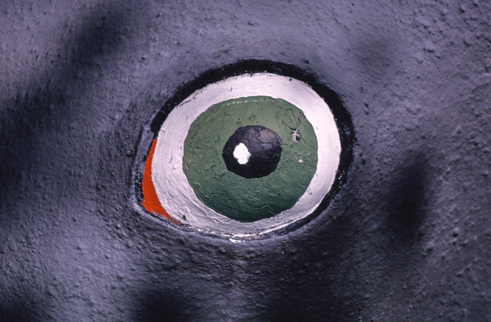 A painting of an eye from a roadside attraction. It's creepy and vaguely bird-like.