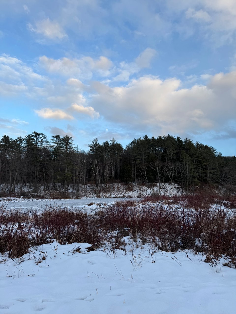 The moon, faint admit clouds on the other side of the snowy walking trail