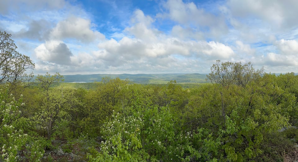 Panoramic photo of trees and hills, with a partly cloudy sky above