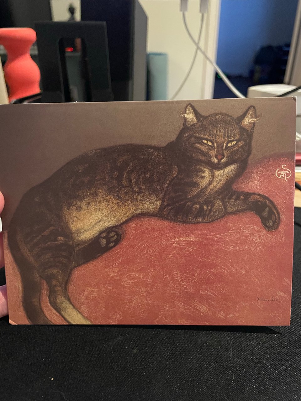 a cat on a card
