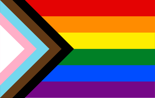 A Progress Pride flag combines the red, orange, yellow, green, blue, and purple stripes of Gilbert Baker's original Pride flag with chevrons in the pink, light blue, and white of the Transgender Pride flag, and adds brown and black chevrons for queer and trans people of color and those who live with or have died from HIV.