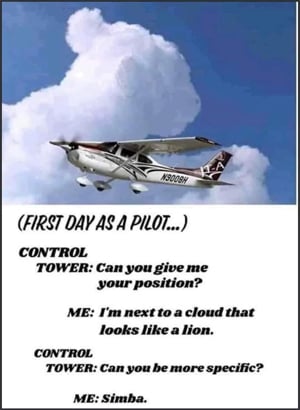 Cloud that looks like Simba