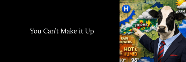 cow giving a TV weather forecast