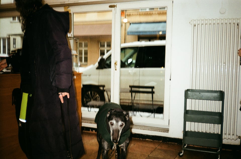 A slightly out of focus photo with nostalgic colour palette of a black greyhound (with a very white face, because he's old) wearing a jacket and looking at the camera. Sarah is to the left of him, and not looking at the camera, wearing a black puffer jacket