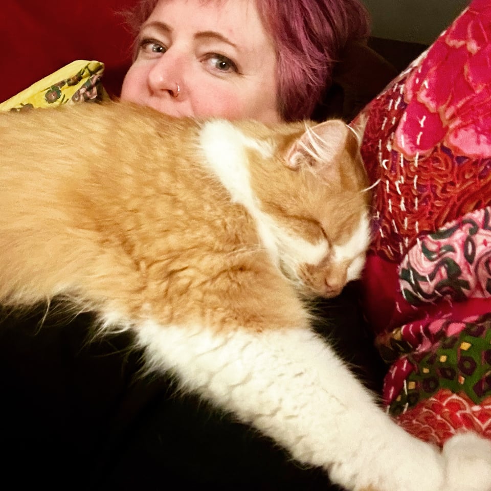 a fluffy white and orange cat napping soundly atop the Author