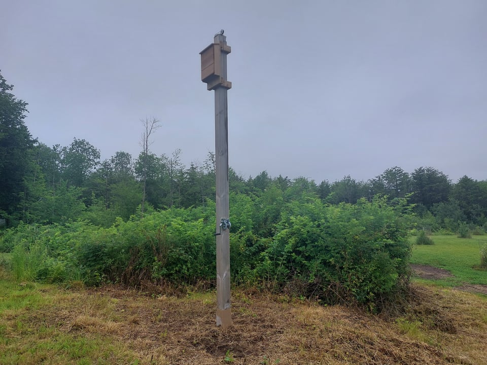 Bat roost with a home-made tall wooden poll and a crank system for lowering and raising the bat box.