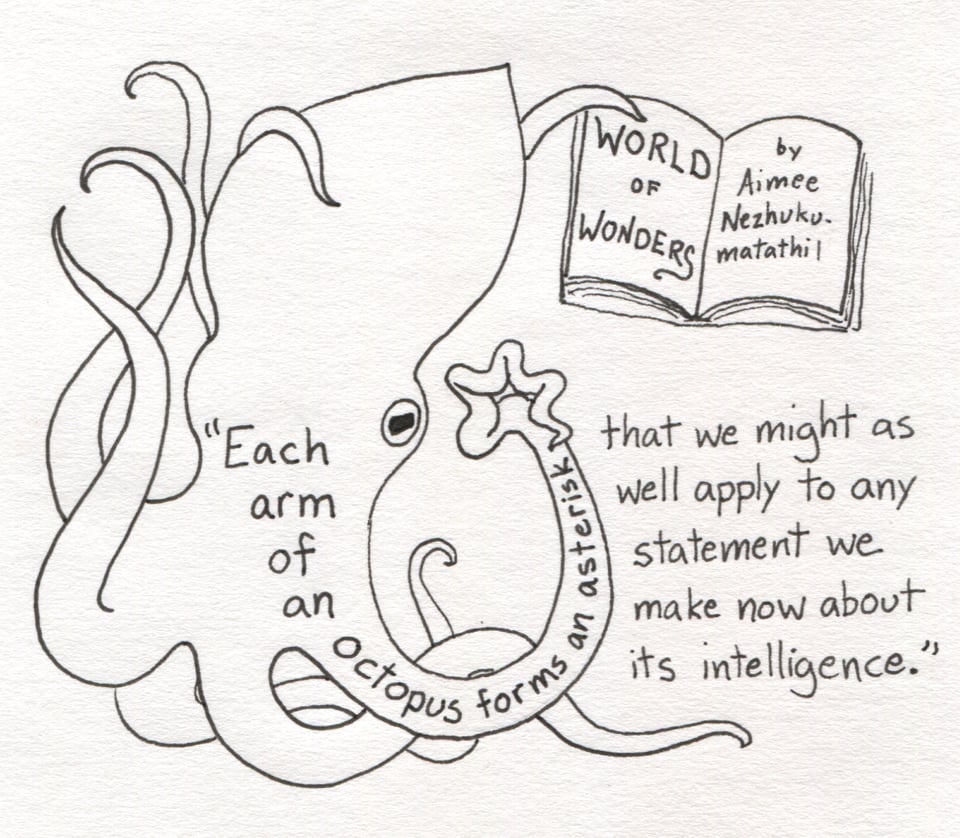 A drawing in black ink of an octopus with one of its arm tips folded into the shape of an asterisk. Another arm is holding open a book that reads