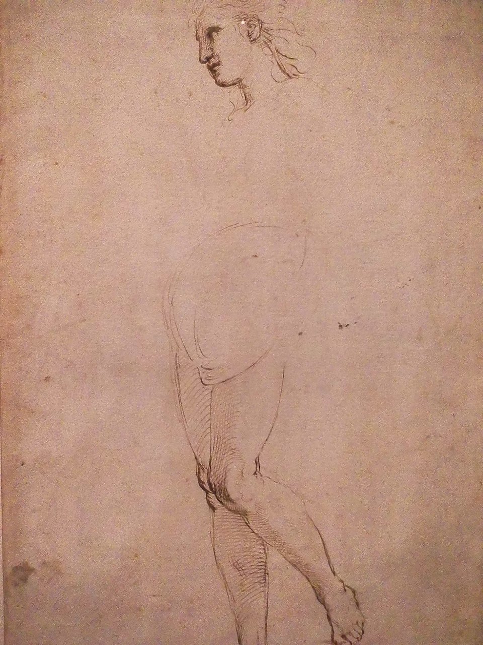 digital Instax photo of a drawing by Raphael of a human figure, but only of the head/neck and legs, with a void between them