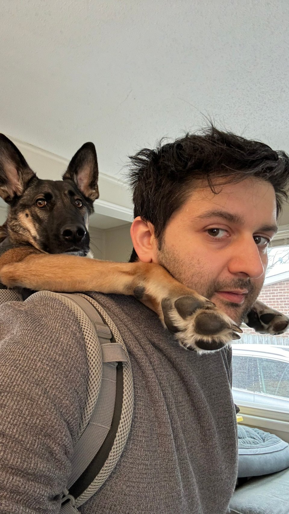a german shepherd in a backpack on my back with his paws reaching over my shoulders. we're both looking at the camera. i look amused, my dog looks annoyed.