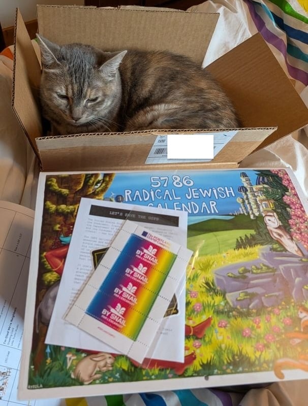 A cat (dilute grey tabby) in a cardboard box with a radical jewish calendar and some rainbow art stamps below