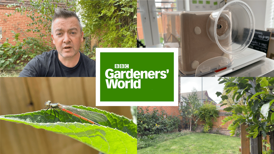 Four stills from the film I made about rewilding a new build garden