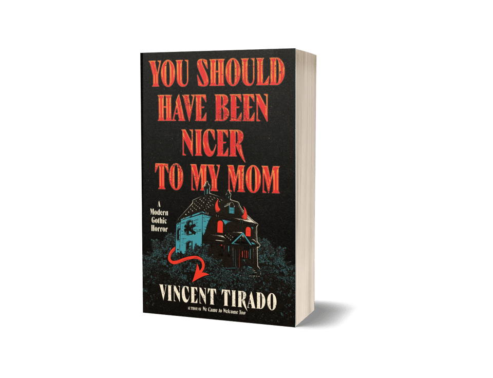 A 3D cover of Vincent's title YOU SHOULD HAVE BEEN NICER TO MY MOM.