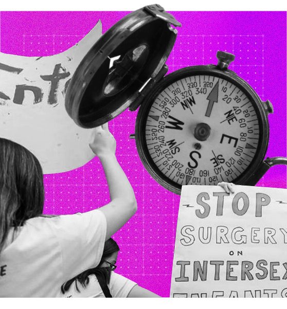 Collage graphic in bright pink: a compass, a photo from an end intersex surgery protest of a child's back holding a sign up, and another sign that says Stop Surgery on Intersex Infants.