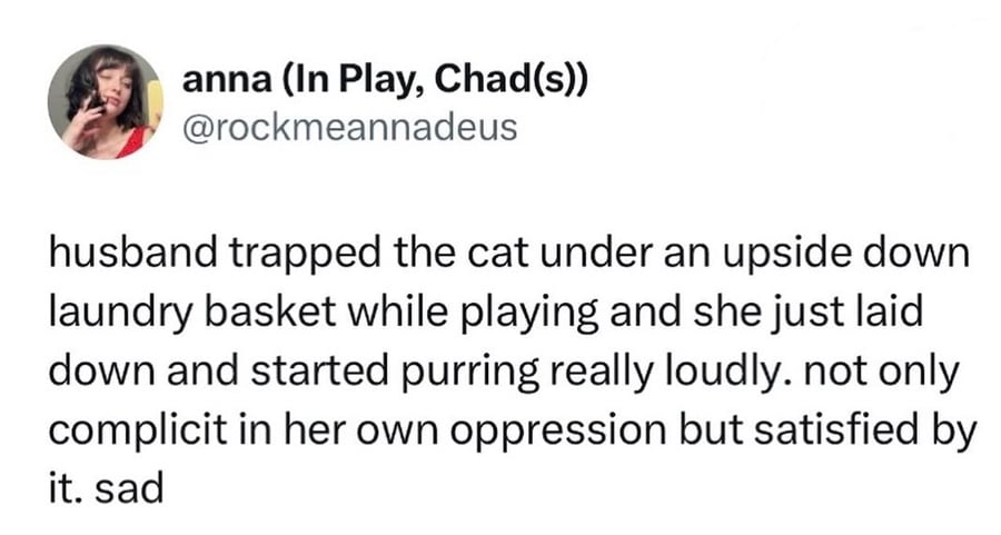 Twitter screenshot.
@rockmeannadeus:
husband trapped the cat under an upside down laundry basket while playing and she just laid down and started purring really loudly. not only complicit in her own oppression but satisfied by it. sad