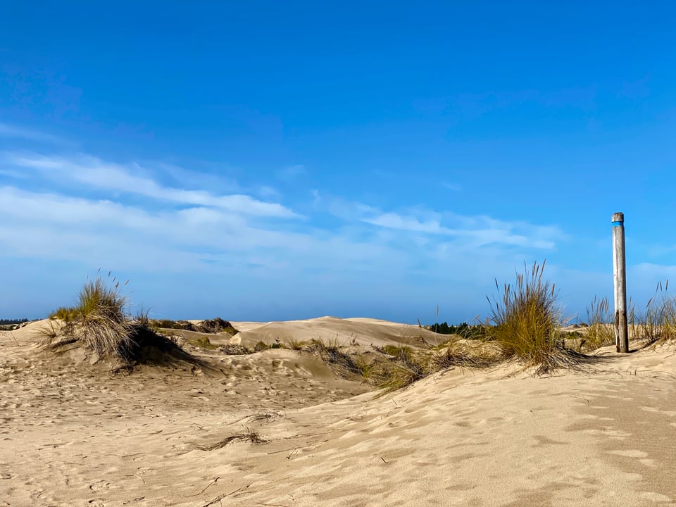 Sand dunes on the John Dellenback Trail on the Oregon Coast