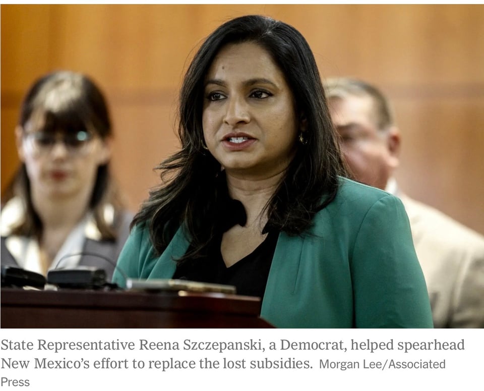 State Representative Reena Szczepanski, a Democrat who helped spearhead the effort to replace the lost subsidies.