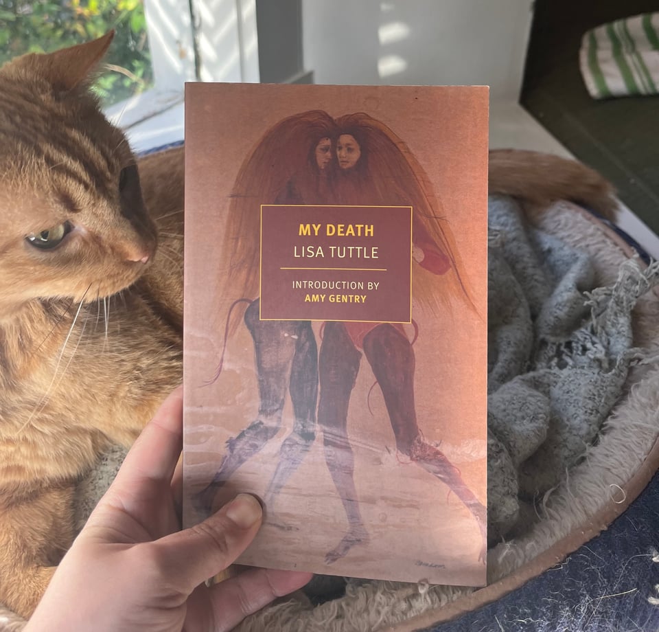 The book "My Death" by Lisa Tuttle is posed in front of an orange tabby cat by a window.