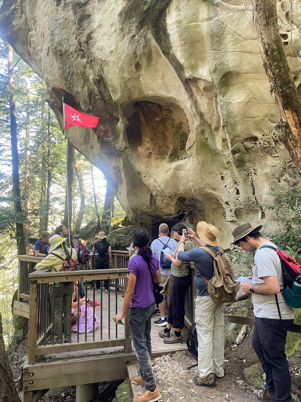 Is it the skull of a Giant Mermaid?!?!