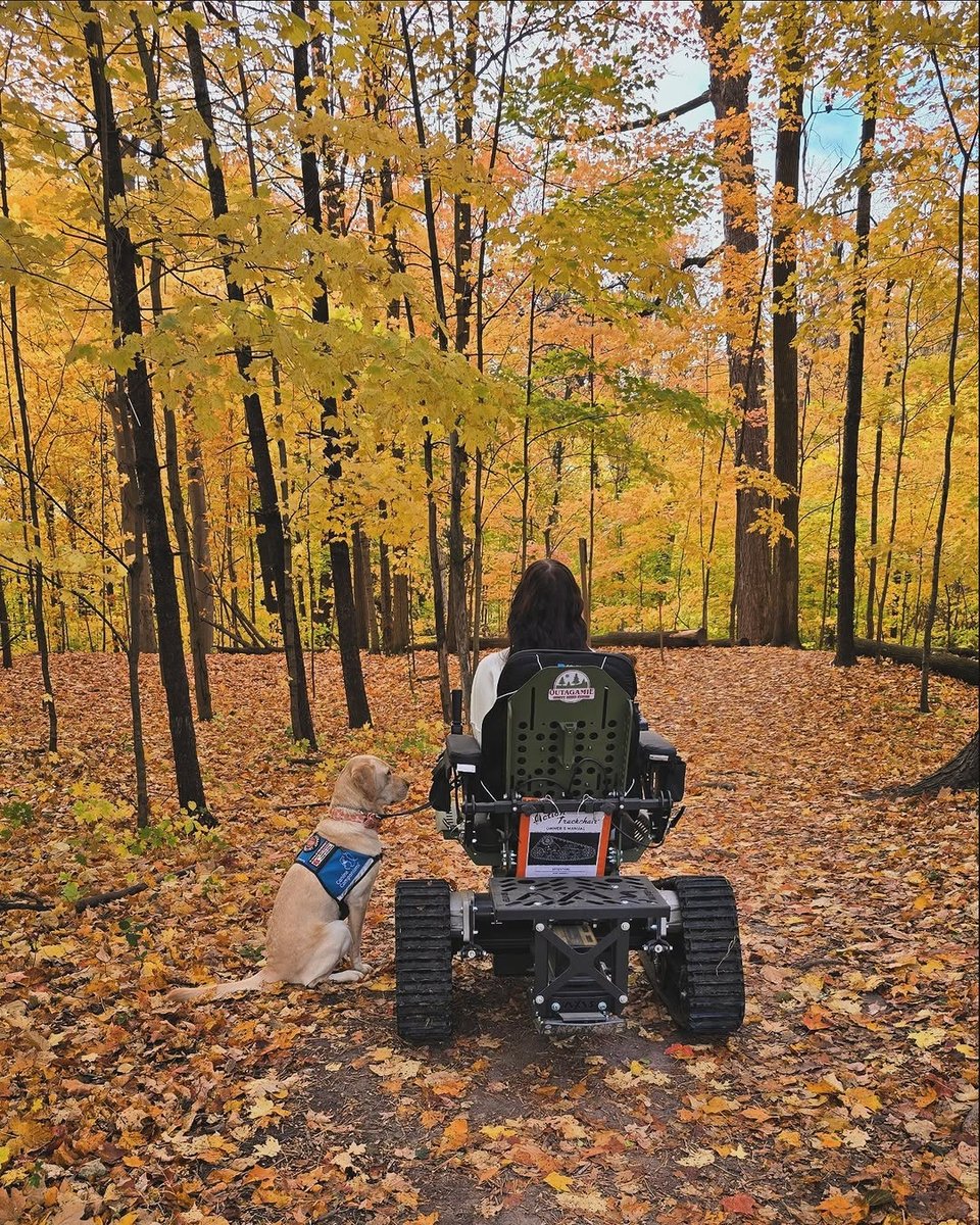 A woman in an all-terrain wheelchair travels along a forest path carpeted with autumn leaves, accompanied by a service dog sitting attentively at her side. The trees around them glow with vibrant yellow and orange foliage, creating a serene, golden canopy. The scene feels peaceful and intimate, capturing a quiet moment of companionship in nature.