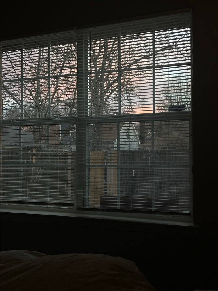 Photo of a sunset taken through a window with blinds. Other houses and some leafless trees are seen outside.
