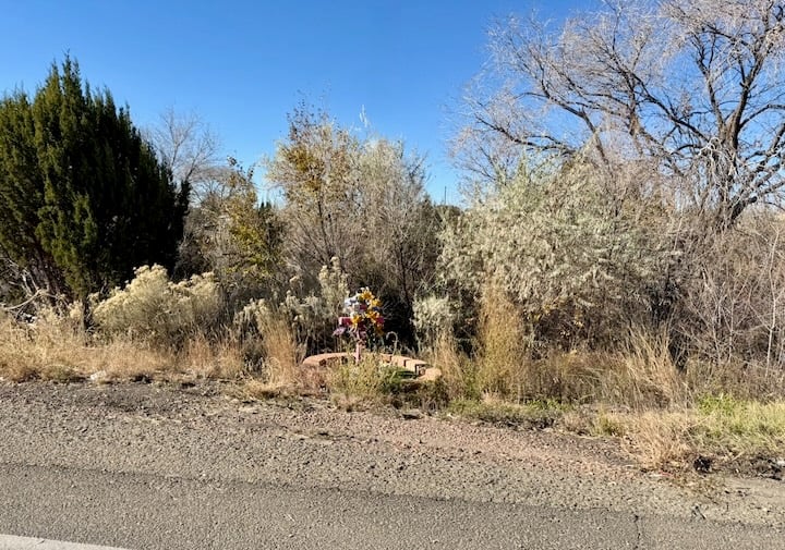roadside cross with artificial flowers, in a concrete circle, roadside. brush makes it difficult to see the descanso.