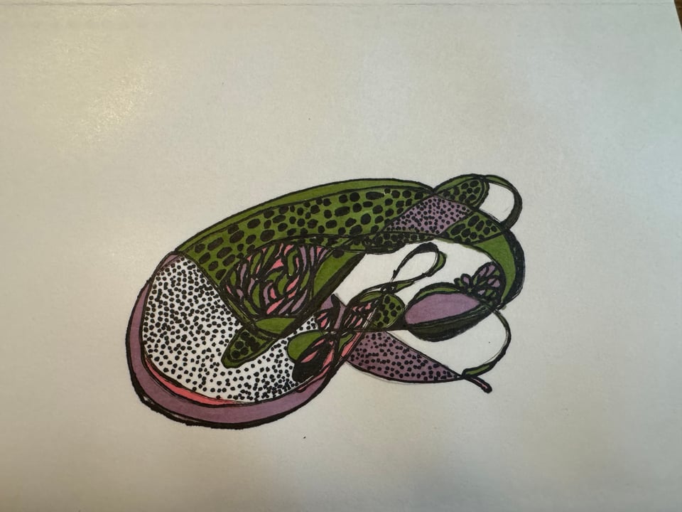 An abstract drawing of something vaguely fishlike, with repeating dot patterns, and shades of green, lavender, and pink.