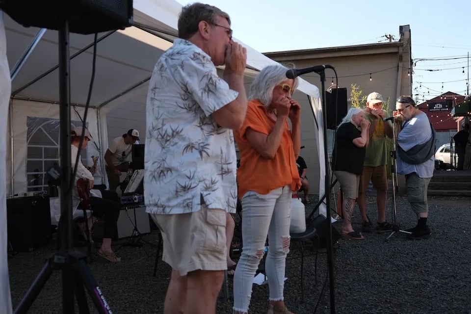 A gaggle of harmonica players