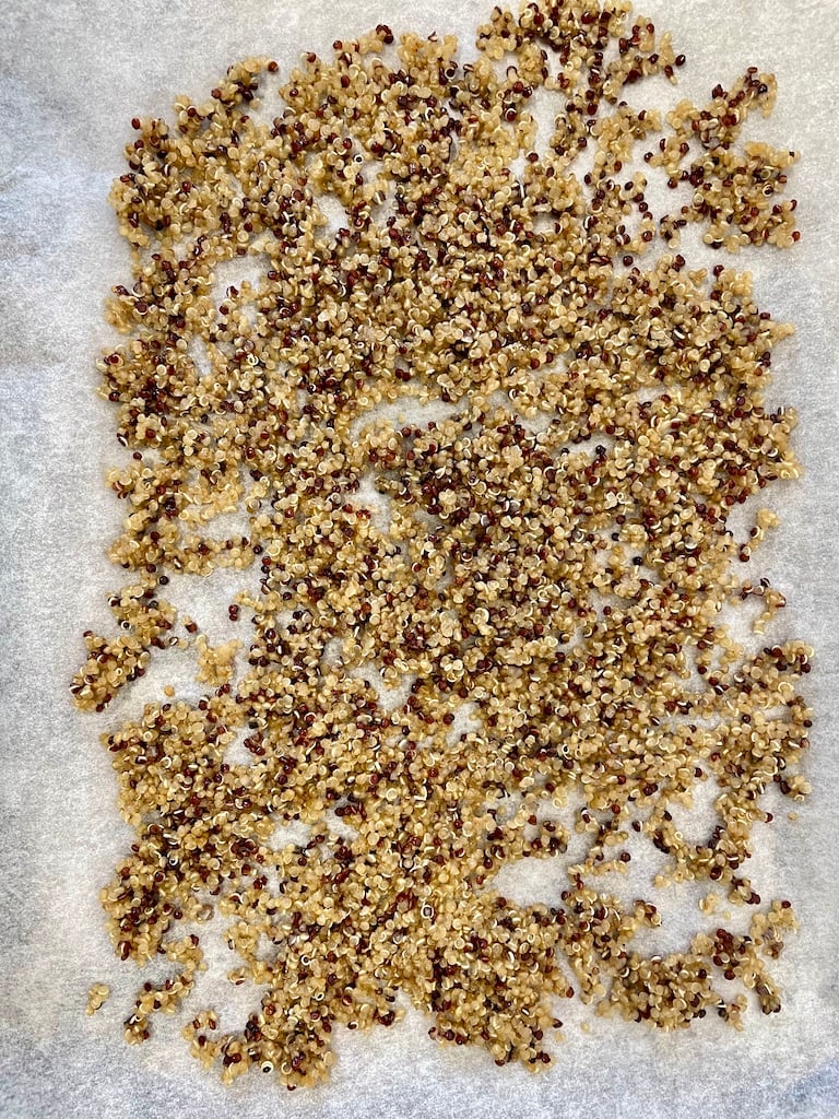 Quinoa